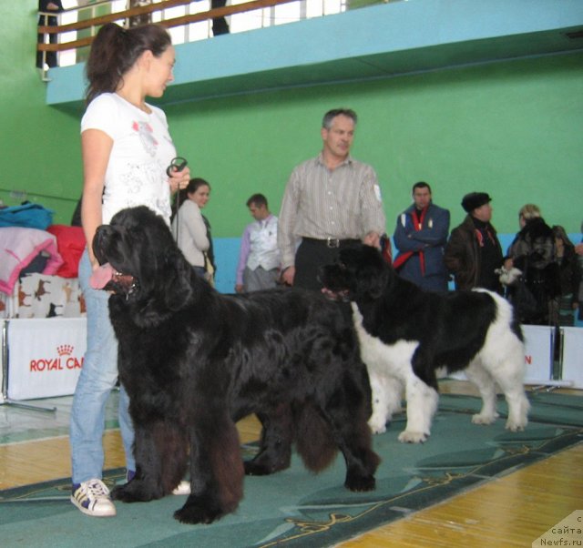 Фотография № 81990