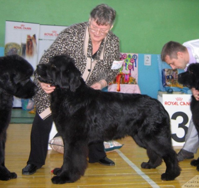 Фотография № 81995