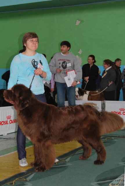 Фотография № 82009