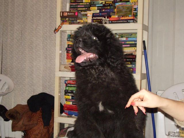 Фотография № 8201