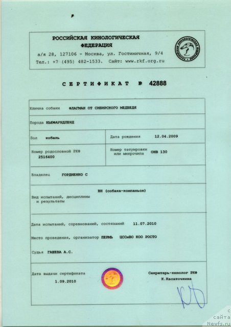 Фото: ньюфаундленд Флагман от Сибирского Медведя (Flagman ot Sibirskogo Medvedja)