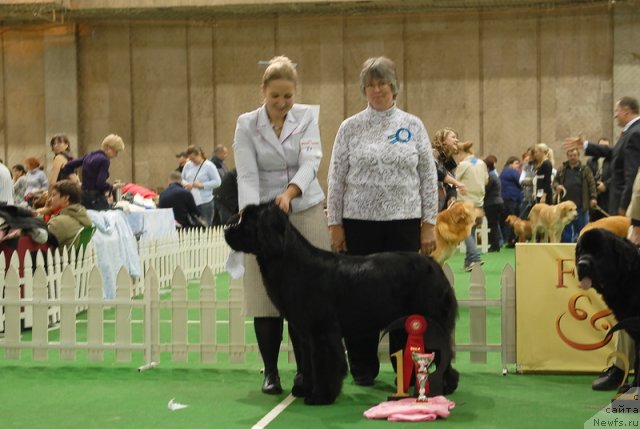 Фотография № 82124