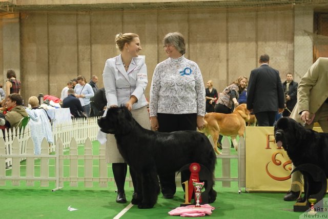 Фотография № 82125