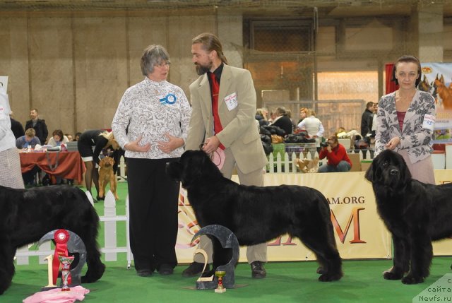 Фотография № 82128