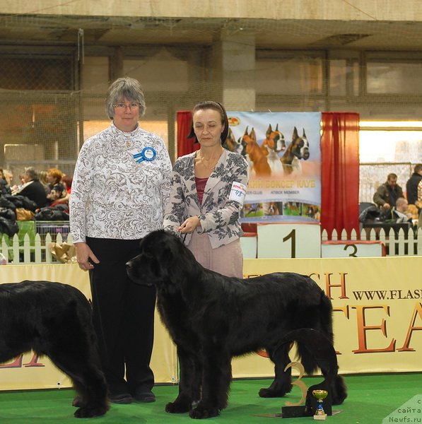 Фотография № 82131