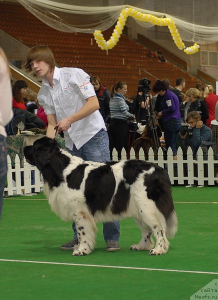 Фотография № 82132