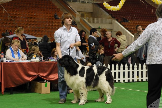 Фотография № 82135