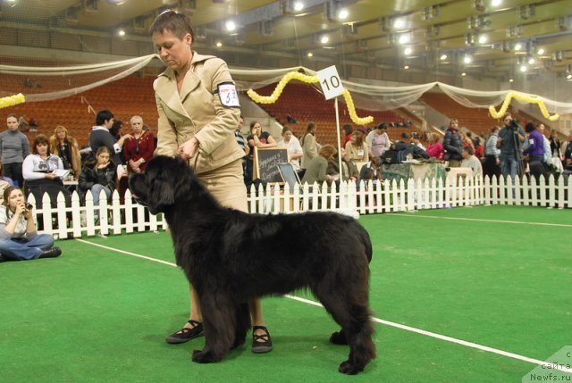 Фотография № 82137