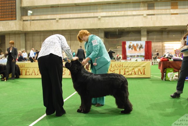 Фотография № 82139