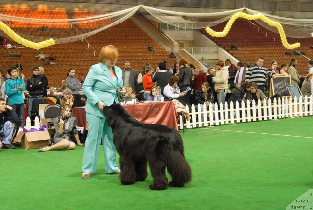 Фотография № 82140