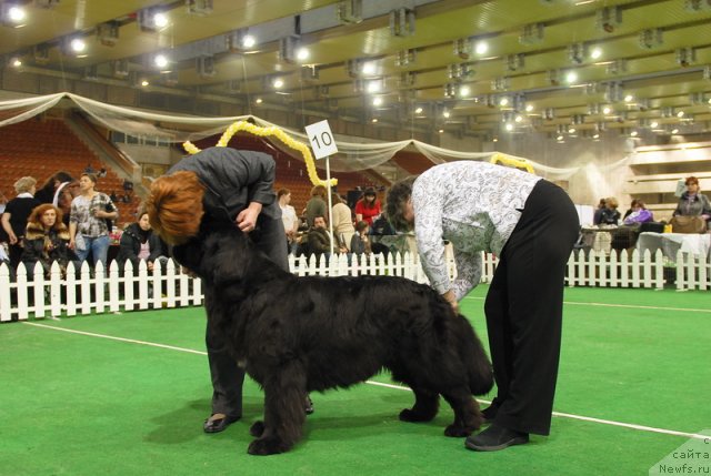 Фотография № 82150