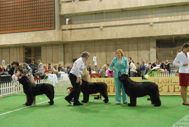 Фотография № 82152