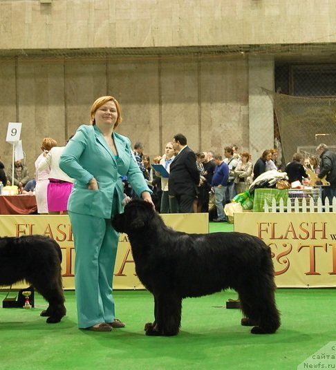 Фотография № 82156