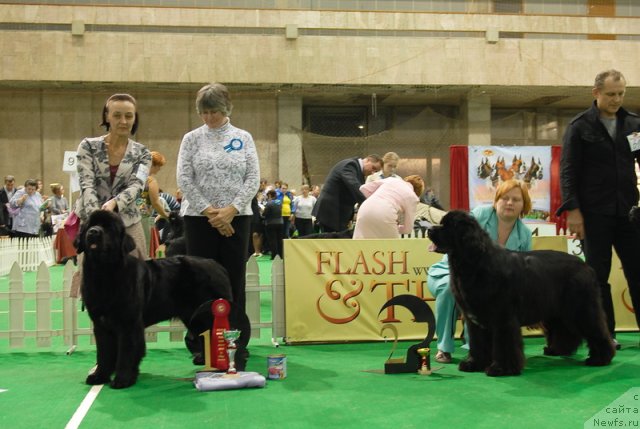 Фотография № 82160