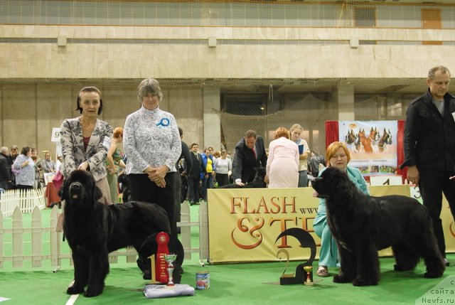 Фотография № 82161