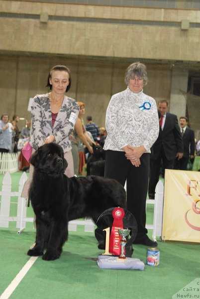 Фотография № 82162