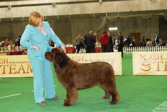 Фотография № 82163