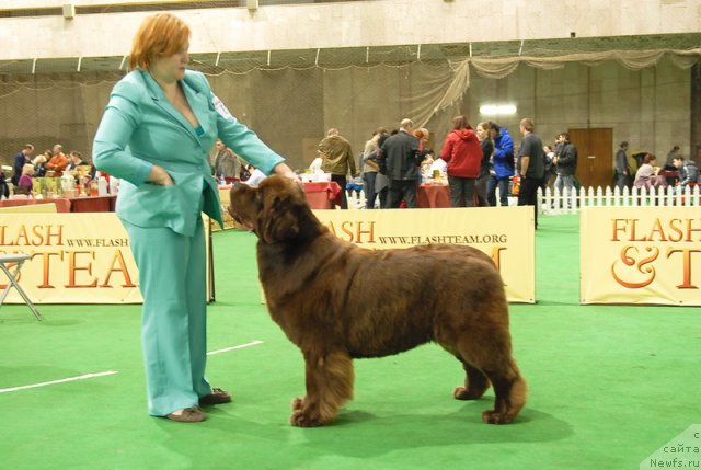 Фотография № 82164