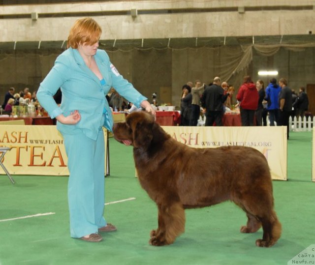 Фотография № 82166