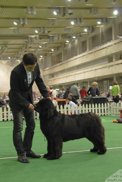 Фотография № 82169