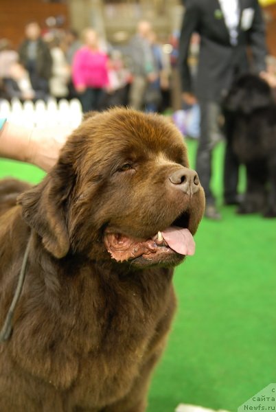 Фотография № 82171