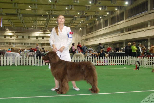 Фотография № 82178