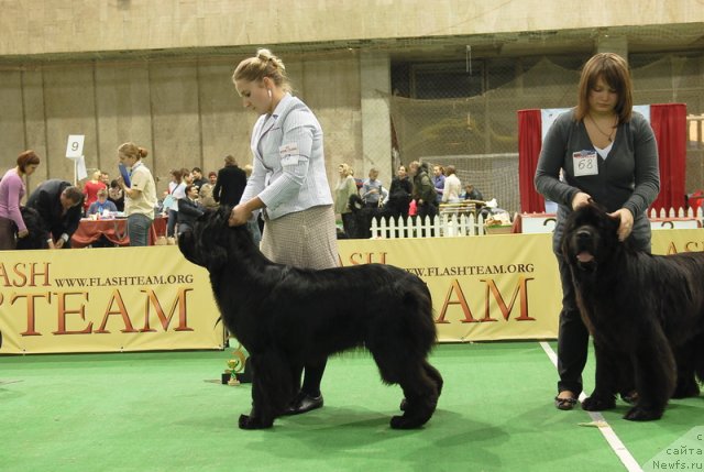 Фотография № 82190