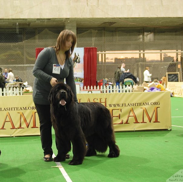 Фотография № 82191