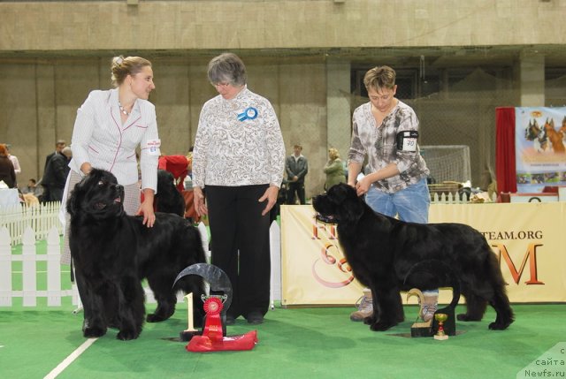 Фотография № 82194