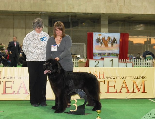 Фотография № 82196