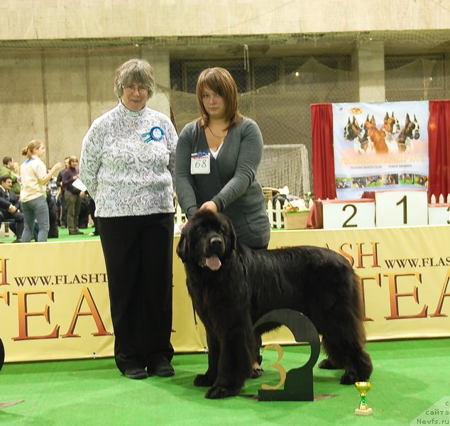 Фотография № 82197