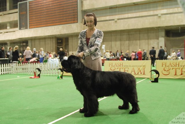 Фотография № 82199