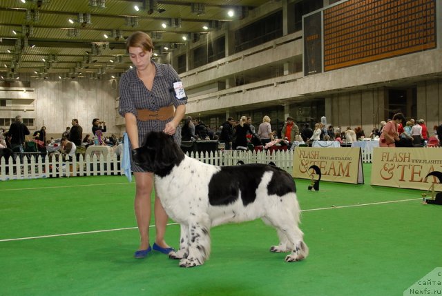 Фотография № 82202