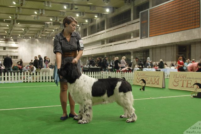 Фотография № 82203