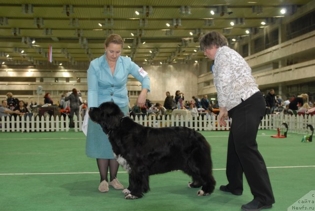 Фотография № 82205