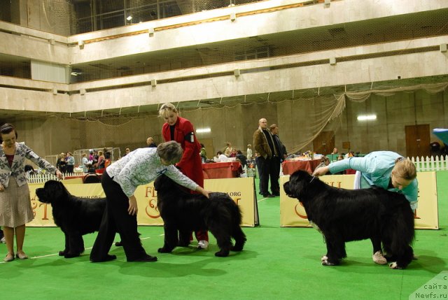 Фотография № 82206