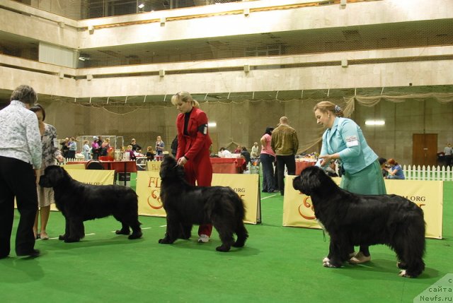 Фотография № 82207