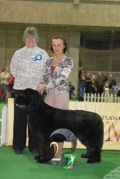 Фотография № 82211