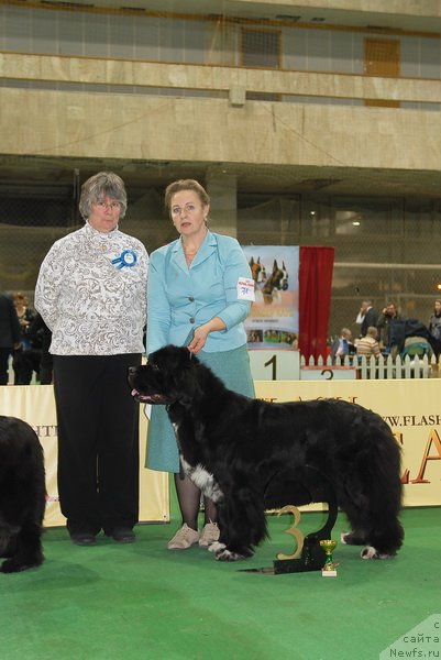 Фотография № 82212