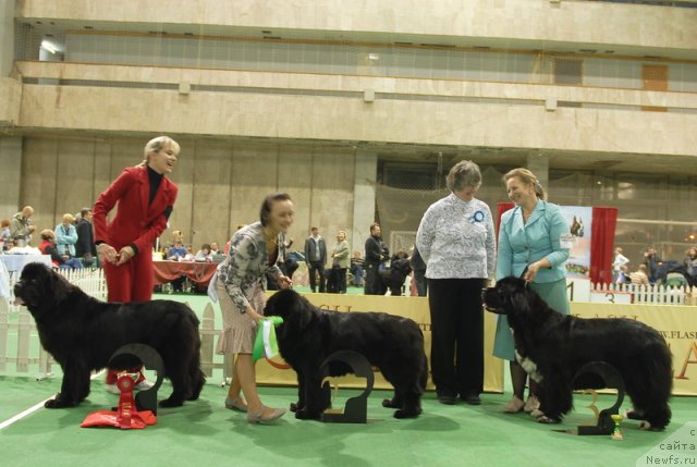 Фотография № 82213