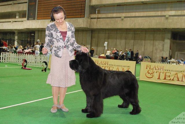 Фотография № 82214