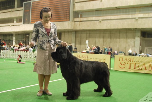 Фотография № 82215