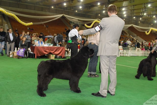 Фотография № 82217