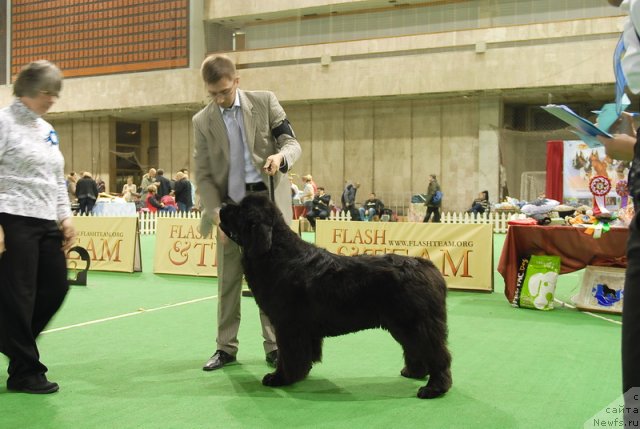 Фотография № 82219