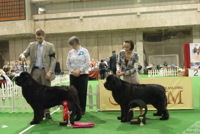 Фотография № 82223