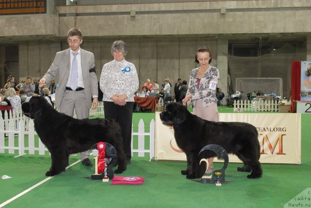 Фотография № 82226