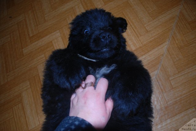 Фото: Наталья Смирнова