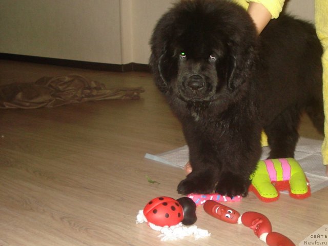 Фото: Елена Горбунова