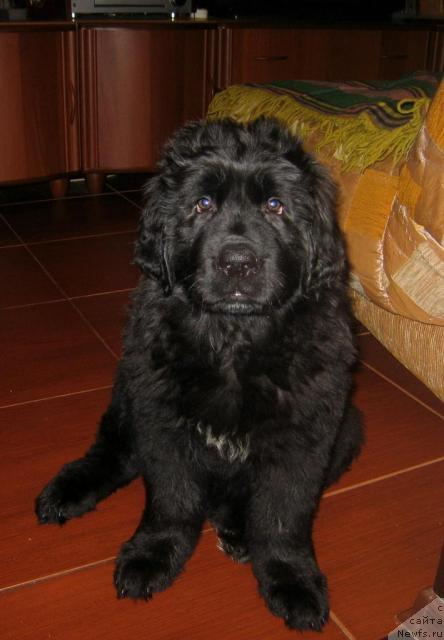 Фото: Оксана Попова