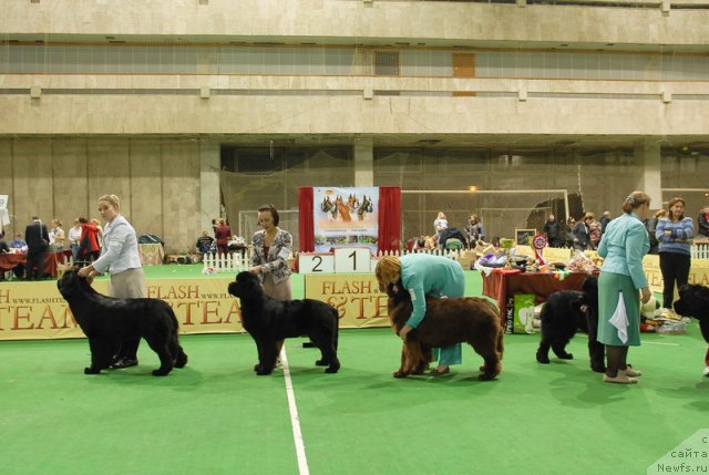 Фотография № 82371